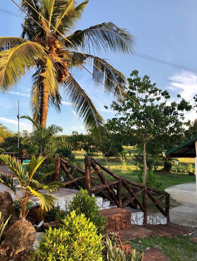 Michaels Homestay - Farm Villa Nr Patar Beach & Bolinao Falls 외부 사진